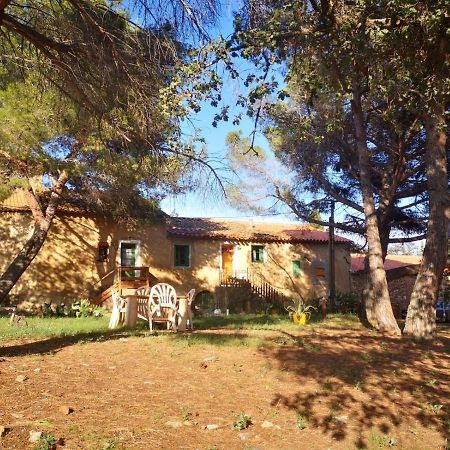 Maison Entiere Hameau Monastir Del Camp Passa 外观 照片