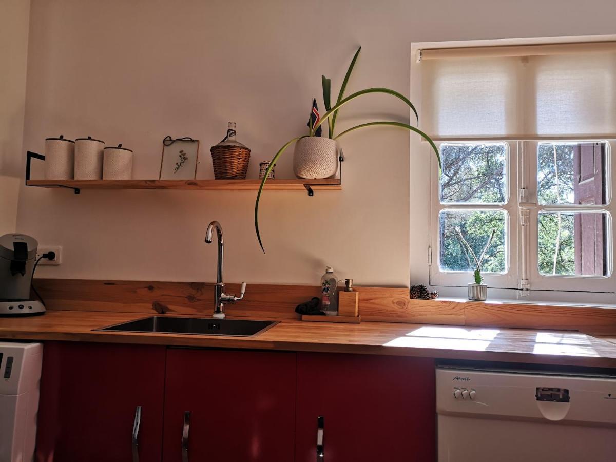 Maison Entiere Hameau Monastir Del Camp Passa 外观 照片