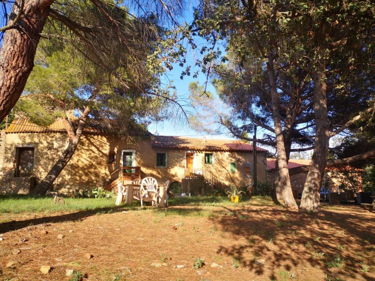 Maison Entiere Hameau Monastir Del Camp Passa 外观 照片